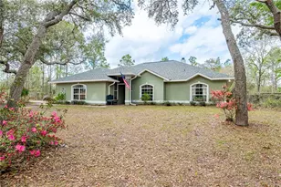 6550 SE 123rd Terrace, Morriston, FL 32668 - Photo 4