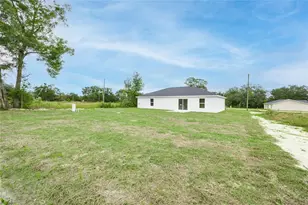 18 Malauka Loop Pass, Ocklawaha, FL 32179 - Photo 42