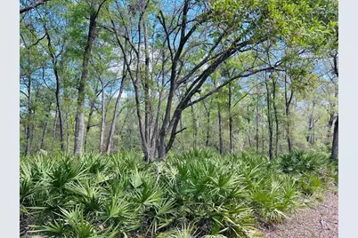 0 NW 30th Street, Chiefland, FL 32626 - Photo 1