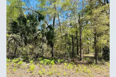 0 NW 30th Street, Chiefland, FL 32626 - Photo 10