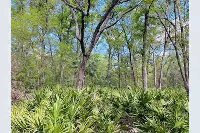 0 NW 30th Street, Chiefland, FL 32626 - Photo 6