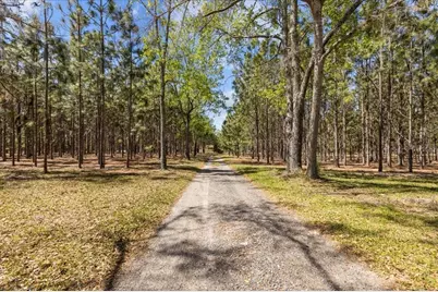 6482 SW 80th Avenue, Trenton, FL 32693 - Photo 4