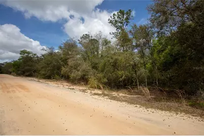 5491 Jefferson Street, Keystone Heights, FL 32656 - Photo 14