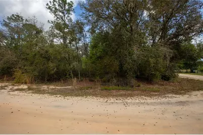 5491 Jefferson Street, Keystone Heights, FL 32656 - Photo 12