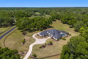 14742 NW 11th Pl, Newberry, FL 32669 - Photo 6