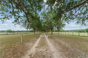 3149 SW 200th Ave, Dunnellon, FL 34431 - Photo 6