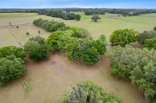 3149 SW 200th Ave, Dunnellon, FL 34431 - Photo 74