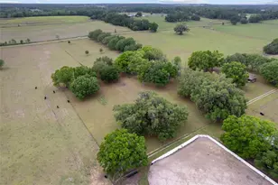 3149 SW 200th Ave, Dunnellon, FL 34431 - Photo 88