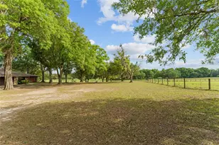 3149 SW 200th Ave, Dunnellon, FL 34431 - Photo 8