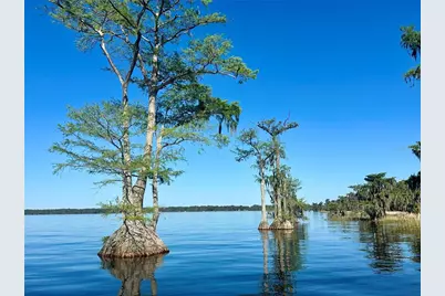 6203 West Boulevard, Melrose, FL 32666 - Photo 38