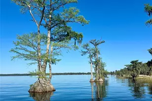 6203 West Blvd, Melrose, FL 32666 - Photo 38