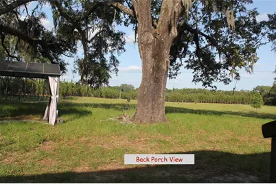 16271 NW County Road 339, Trenton, FL 32693 - Photo 16