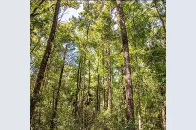 Tbd NE 642nd Street, Old Town, FL 32680 - Photo 2