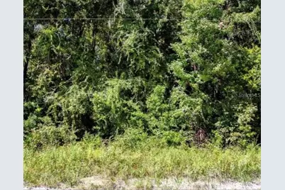 Tbd NE 642nd Street, Old Town, FL 32680 - Photo 4