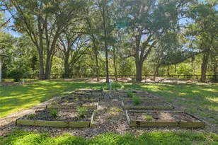 14819 NW 21st Ave, Newberry, FL 32669 - Photo 80