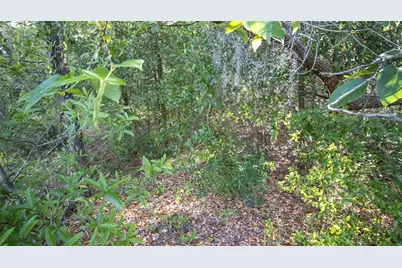 7685 Colorado Avenue, Keystone Heights, FL 32656 - Photo 6