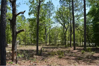 2640 NE 74th Avenue, High Springs, FL 32643 - Photo 44