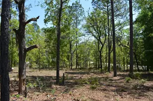 2640 NE 74th Ave, High Springs, FL 32643 - Photo 44