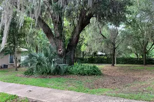 887 NW 21st Ave, Gainesville, FL 32609 - Photo 36