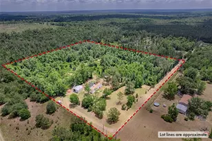 7776 SE 113th Ct, Jasper, FL 32052 - Photo 8