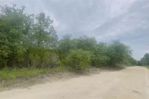 Lot 115 NE 87th Pl, Bronson, FL 32621 - Photo 1