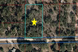 Lot 115 NE 87th Pl, Bronson, FL 32621 - Photo 1