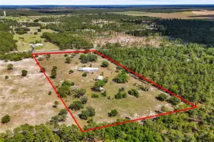 7450 SE State Road 121, Morriston, FL 32668 - Photo 38