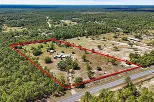 7450 SE State Road 121, Morriston, FL 32668 - Photo 1