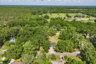 1180 Hough St, Bell, FL 32619 - Photo 30