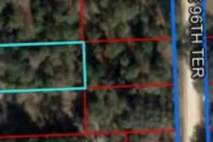 Tbd NE 96th Ave, Bronson, FL 32621 - Photo 1