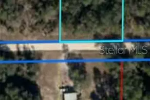 Tbd NE 87th Pl, Bronson, FL 32621 - Photo 1