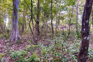 1326 NW 57th St, Gainesville, FL 32605 - Photo 50