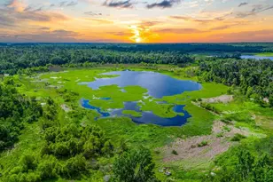 11274 71st Dr, Live Oak, FL 32060 - Photo 30