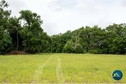 0 NW 206th Circle NW #Lot 8, High Springs, FL 32643 - Photo 8