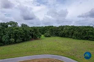 0 NW 206th Circle NW, High Springs, FL 32643 - Photo 4