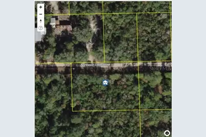 Tbd NE 236 Street, Fort Mc Coy, FL 32134 - Photo 2