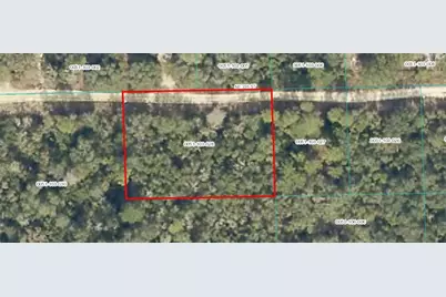 Tbd NE 236 Street, Fort Mc Coy, FL 32134 - Photo 1