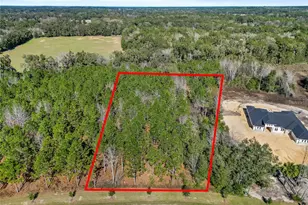 2559 NW 150th Blvd, Newberry, FL 32669 - Photo 12