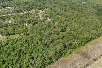 1827 SW Shiloh Street, Fort White, FL 32038 - Photo 54