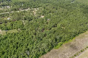 1827 SW Shiloh St, Fort White, FL 32038 - Photo 46