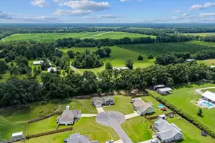 173 SW 24th Ave, Trenton, FL 32693 - Photo 52