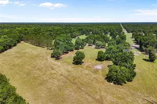 4639 SW Wilson Springs Rd, Fort White, FL 32038 - Photo 28