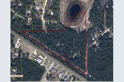 00 State Road 100, East Palatka, FL 32656 - Photo 1