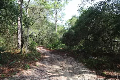 00 State Road 100, East Palatka, FL 32656 - Photo 6