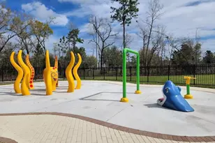 1011 Wetland Ridge Cir, Middleburg, FL 32068 - Photo 72