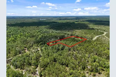 2309 NE 73rd Avenue, Gainesville, FL 32609 - Photo 4