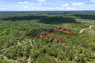 2309 NE 73rd Ave, Gainesville, FL 32609 - Photo 4