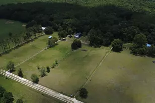 15024 NW 89th St, Alachua, FL 32615 - Photo 6