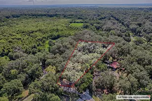 6505 SW 135 Pl, Archer, FL 32618 - Photo 38