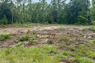 Tbd NE 151st Terrace, Williston, FL 32696 - Photo 4